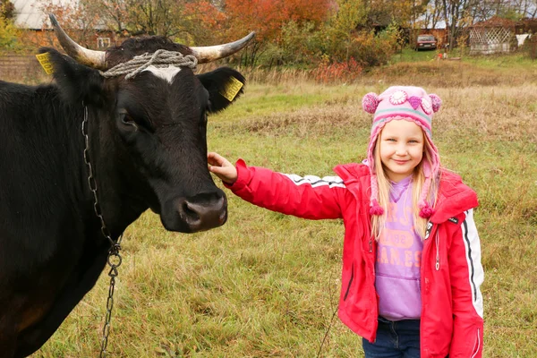 Güzel küçük bir kız siyah inek zincirinde yakınındaki çayır üzerinde duruyor.