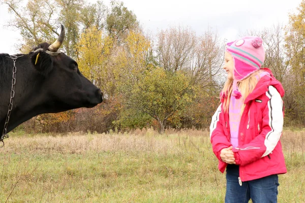 Güzel küçük bir kız siyah inek zincirinde yakınındaki çayır üzerinde duruyor.