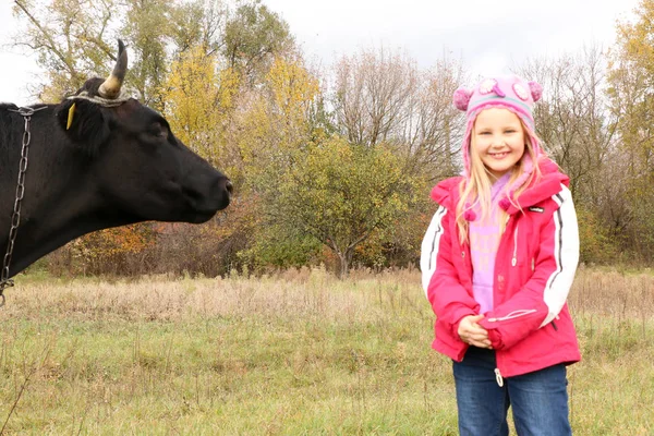 Güzel küçük bir kız siyah inek zincirinde yakınındaki çayır üzerinde duruyor.