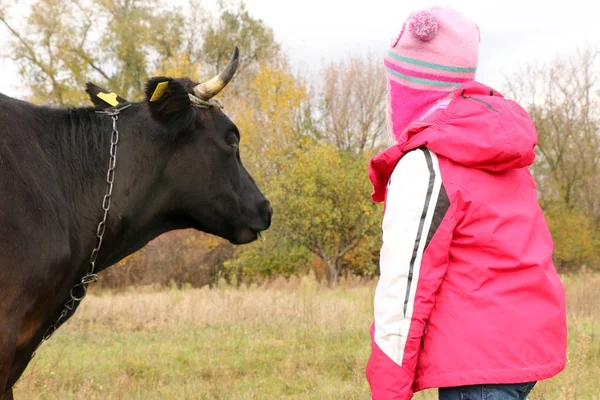 Belle petite fille se tient sur la prairie près de vache noire sur la chaîne . — Photo