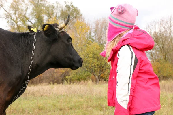 Belle petite fille se tient sur la prairie près de vache noire sur la chaîne . — Photo