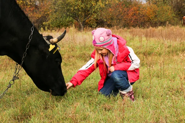 Güzel küçük bir kız siyah inek zincirinde yakınındaki çayır üzerinde duruyor.