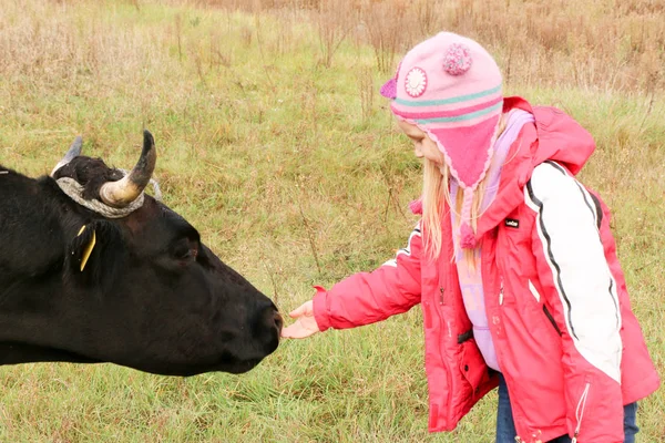 Belle petite fille se tient sur la prairie près de vache noire sur la chaîne . — Photo