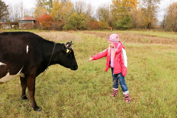 Belle petite fille se tient sur la prairie près de vache noire sur la chaîne . — Photo