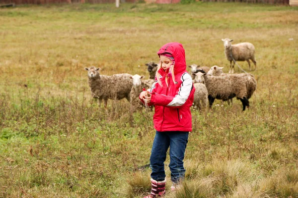 Kid menina pastora feliz com rebanho de ovelhas — Fotografia de Stock