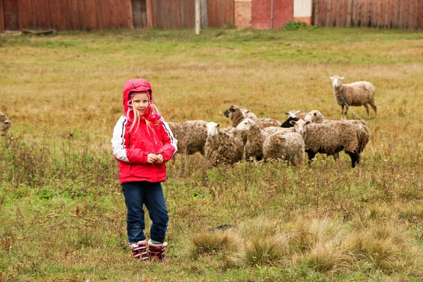 Kid menina pastora feliz com rebanho de ovelhas — Fotografia de Stock