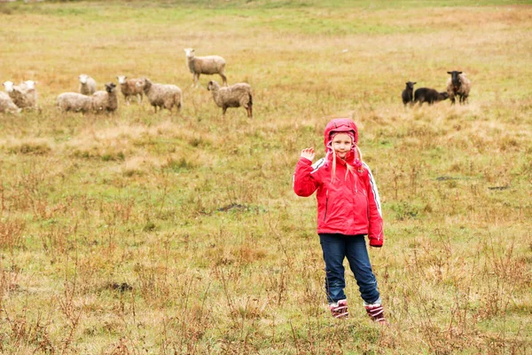 Dziecko dziewczynka Pasterka zadowolony z stado owiec — Zdjęcie stockowe