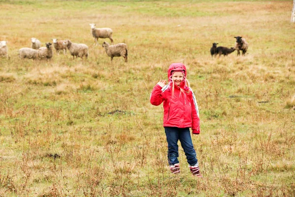 Enfant fille bergère heureux avec troupeau de moutons — Photo