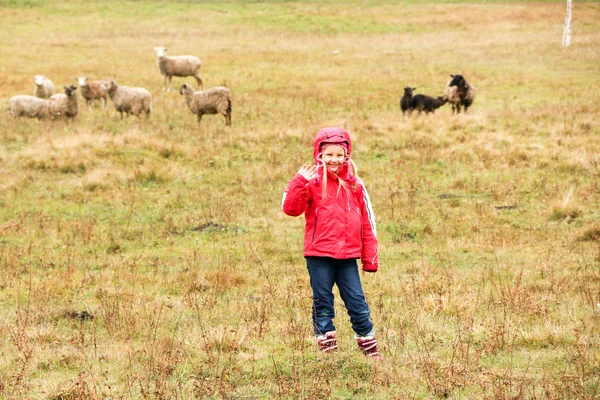 Niña pastora feliz con rebaño de ovejas —  Fotos de Stock