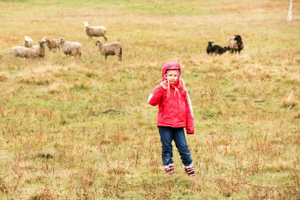 Enfant fille bergère heureux avec troupeau de moutons — Photo