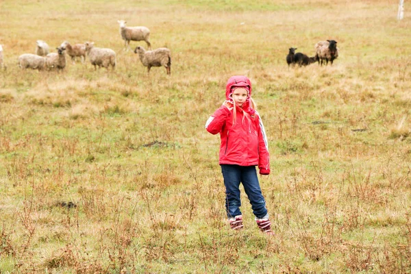 Kid menina pastora feliz com rebanho de ovelhas — Fotografia de Stock