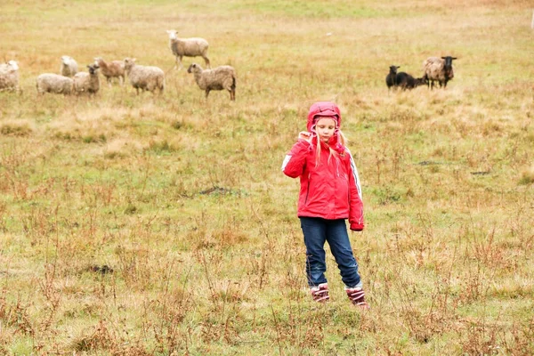 Çocuk kız çoban koyun sürüsü ile mutlu — Stok fotoğraf