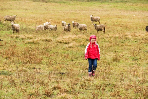 Kid menina pastora feliz com rebanho de ovelhas — Fotografia de Stock