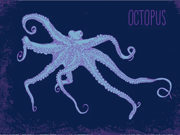 Ilustración vectorial con pulpo — Vector de stock