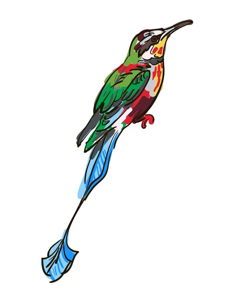 Dessin de l'oiseau — Image vectorielle