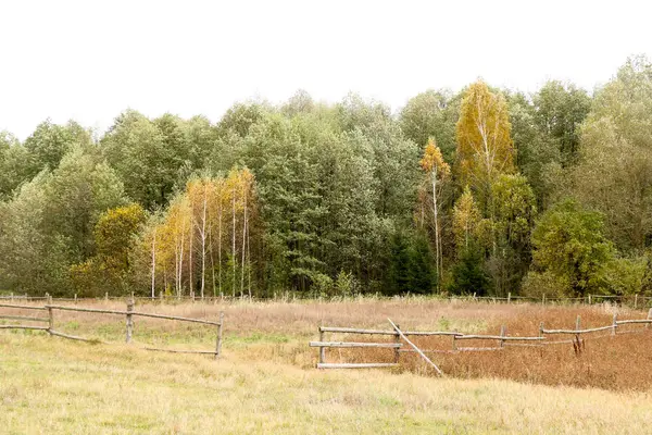 Paesaggio d'autunno. Nuvole scure sopra la foresta autunnale. Erba ingiallita nel campo . — Foto Stock