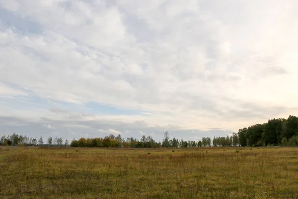 Paisaje de otoño. Nubes oscuras sobre el bosque de otoño. Hierba amarillenta en el campo . — Foto de Stock