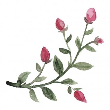 Suluboya çiçek vektör set.