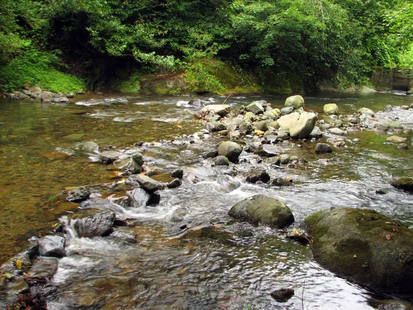 Gebirgsfluss fließt zwischen bemoosten Steinen — Stockfoto