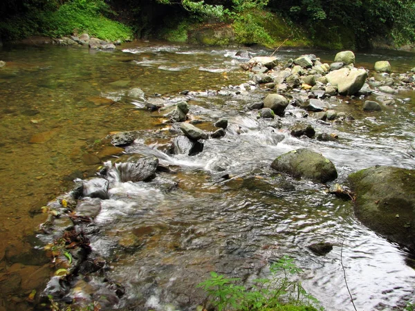 Sungai pegunungan mengalir di antara batu-batu berlumut — Stok Foto