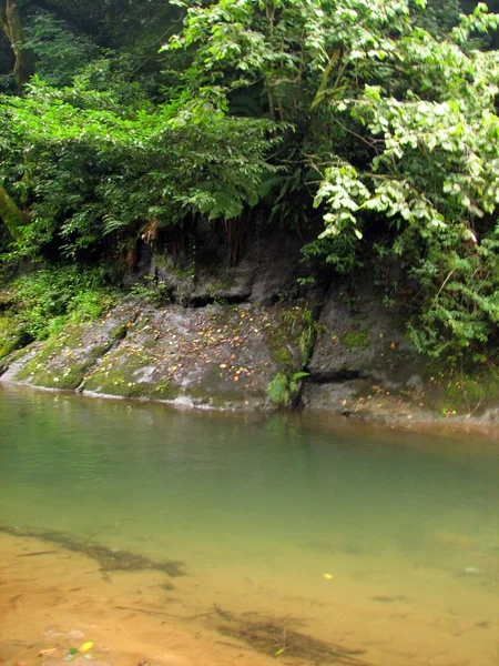 Rio da montanha que flui entre pedras musgosas — Fotografia de Stock