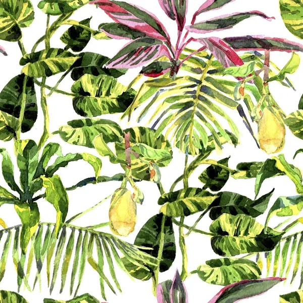 Tropical Background. watercolor tropical leaves and plants. Hand painted jungle greenery background