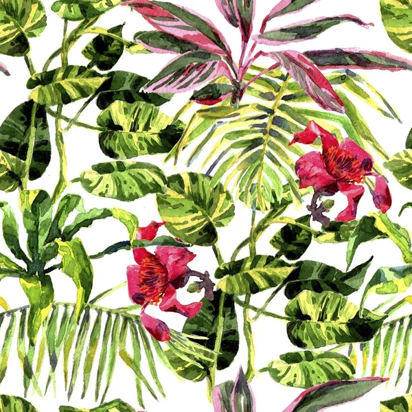 Contexte tropical. aquarelle feuilles tropicales et plantes. Fond vert jungle peint à la main — Photo