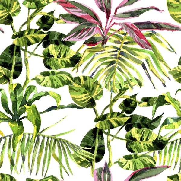 Contexte tropical. aquarelle feuilles tropicales et plantes. Fond vert jungle peint à la main — Photo