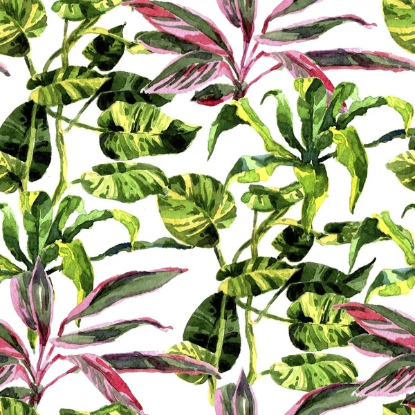 Tropical Background. watercolor tropical leaves and plants. Hand painted jungle greenery background