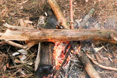 Şöminede yakacak odun, yakın plan.