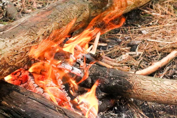 Brûler du bois de chauffage dans la cheminée gros plan — Photo