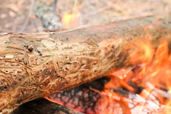 Płonące drewno opałowe w kominku zbliżenie — Zdjęcie stockowe