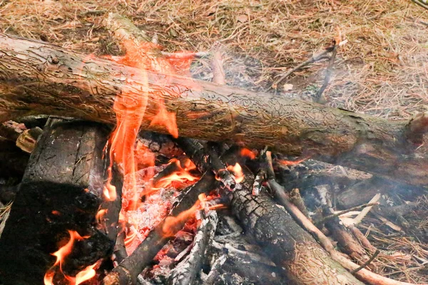 Brännande ved i eldstaden närbild — Stockfoto
