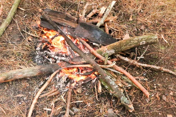 Brûler du bois de chauffage dans la cheminée gros plan — Photo