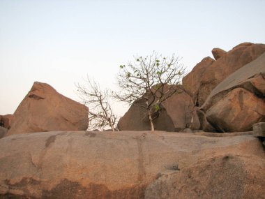Antik şehir Hampi içinde taş olan manzara