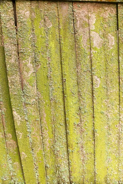 Wood texture. Lining boards wall.