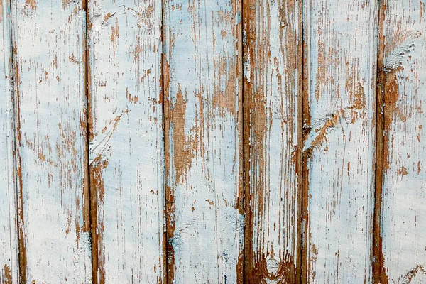 Textura de madera. Tableros de revestimiento pared . —  Fotos de Stock