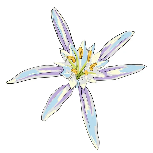 Fleurs dessinées à la main Lys sur un fond blanc — Image vectorielle