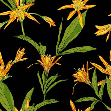 El çekilmiş çiçek lilyum üzerinde beyaz bir arka plan sorunsuz imkanı