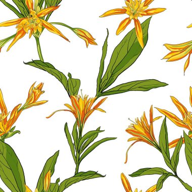 El çekilmiş çiçek lilyum üzerinde beyaz bir arka plan sorunsuz imkanı