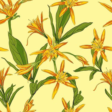 El çekilmiş çiçek lilyum üzerinde beyaz bir arka plan sorunsuz imkanı