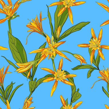 El çekilmiş çiçek lilyum üzerinde beyaz bir arka plan sorunsuz imkanı