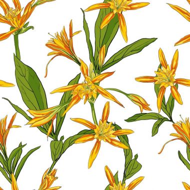 El çekilmiş çiçek lilyum üzerinde beyaz bir arka plan sorunsuz imkanı