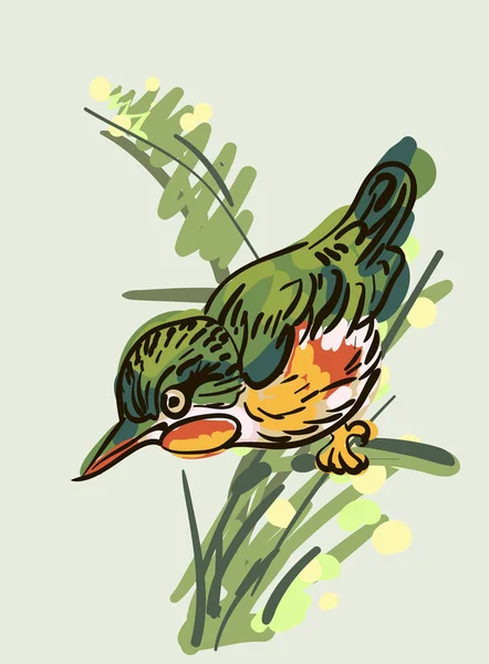 Dibujo vectorial del ave — Archivo Imágenes Vectoriales