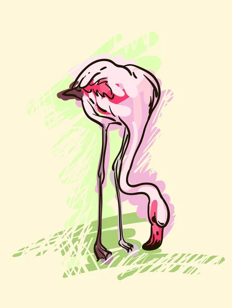 Målad flamingo fågel - vektor illustration — Stock vektor