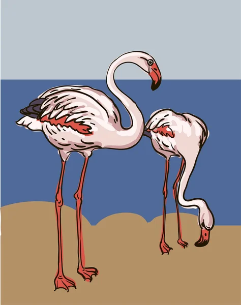 Boyanmış flamingo kuş - vektör çizimi — Stok Vektör
