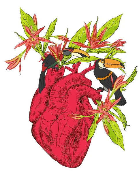 Lidské srdce s květinami — Stockový vektor