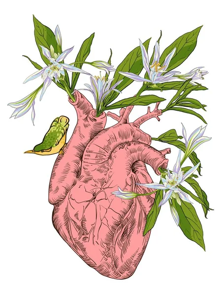 Corazón humano con flores — Archivo Imágenes Vectoriales