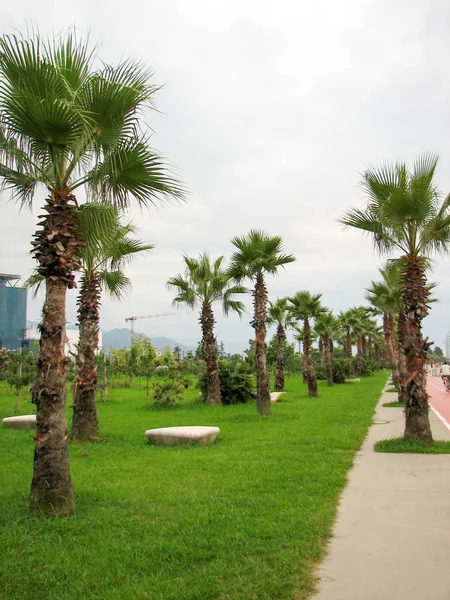 Şehir manzaralı güzel modern yüksek binalar ile — Stok fotoğraf