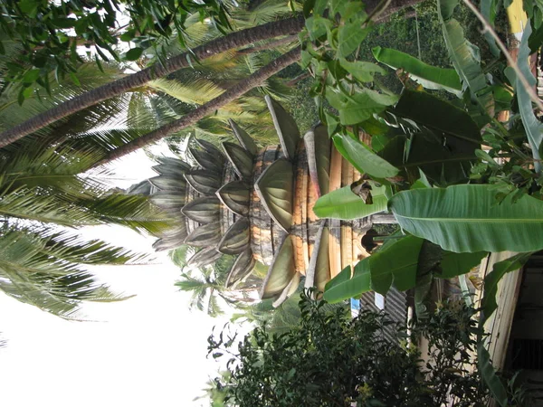 ジャングルの中でヒンズー教の寺院の屋根 — ストック写真